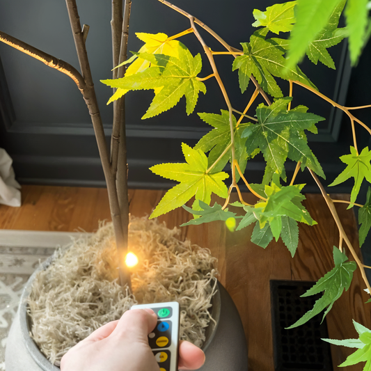 SpotLuxe – Dimbare LED-Strahler met Draadloze Akzentverlichting